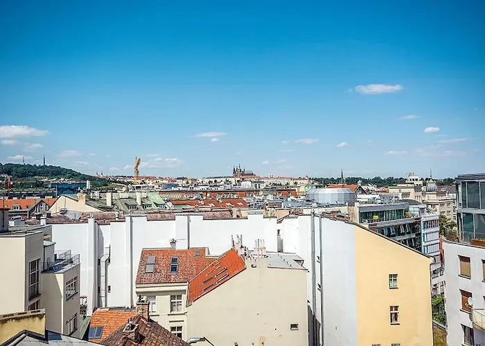 Shiny Rooftop Apart With Free Garage